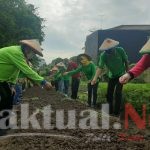 Tim Penggerak PKK Kelurahan Sunter Agung Ikuti Semai Jakarta