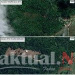 Hutan Adalah Ibu, Seperti Apa Kami Menjaga Ibu, Seperti Kami Menjaga Hutan