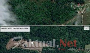 Hutan Adalah Ibu, Seperti Apa Kami Menjaga Ibu, Seperti Kami Menjaga Hutan
