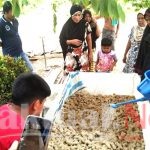 Sampah Tongkol Jagung Berbuah Jamur