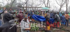Tidak Terima Kawasan Konservasi di Tanami Kopi Oleh Orang Pendatang,Ratusan Warga Kampung beru Kelurahan Pattapang Mendatangi dan Mencabut Tanamannya