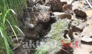 Tanpa Papan Proyek, Petani Dusun Pattiro Protes Pembangunan Saluran Irigasi