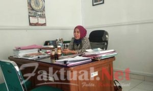 Kolaborasi ILMI Sultra Budidaya Madu Trigona di Kebun Raya, DLHK Kendari Tunggu Restu KLHK
