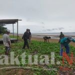 Ciptakan Lingkungan Wisata TNI Pelopori Bersihkan Pantai