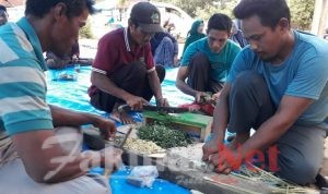 Pestisida Nabati Sehat dan Terjangkau