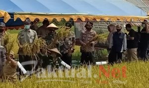 Wujudkan Ketahanan Pangan, Danramil Muara Kaman Pimpin Syukuran