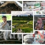 Program Pemerintah Peningkatan Ketahanan Pangan di Tengah Pandemi Covid 19
