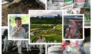 Program Pemerintah Peningkatan Ketahanan Pangan di Tengah Pandemi Covid 19