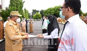 SK CPNS 2019 Resmi Diterima