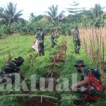 Satgas Pamtas Yonif 611/Awang Long Berkebun Perkuat Ketahanan Pangan