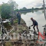 Jalin Keakrapan Babinsa Komsos Dengan Penjaga Tambak Ikan