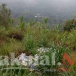 Sampah Hantui Tahura Abd Latit Sinjai Borong