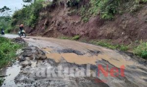 Jalan Poros Candia Yang Diperbaiki Sebelum Pilkada Kini Sudah Rusak Parah