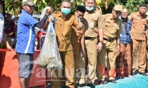 Kelompok Budidaya Sumber Berkah Panen Perdana Udang Vename