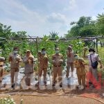 200 Melon Dipanen BPP Sukapura