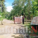 Buntut Kekecewaan Aliansi Pemuda Benteng Aksi Solidaritas Tanam Pisang