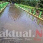 DPP Gempar NKRI : Penjarakan Oknum yang Diduga Korupsi Proyek Jembatan Pucak Pangemban Maros