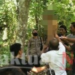 Depresi Dari Negeri Jiran Pohon Sukun Jadi Solusinya