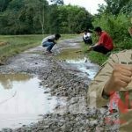Jalan Poros Dada-Mata Matae Mirip Kolam Ikan, Warga Tantang PBS