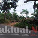 Ganti Rugi Cuma Rp1000 per Meter, Warga Desa Tajur Menolak Penggusuran oleh PT TBU