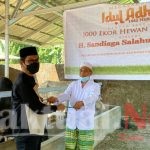 Sandiaga Uno Program 1000 Ekor Hewan Kurban