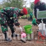 Grup 1 Kopassus Tanam 13.000 Pohon Untuk Penghijauan