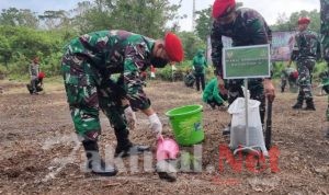 Grup 1 Kopassus Tanam 13.000 Pohon Untuk Penghijauan