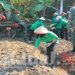 Inovasi Lahan Ketahanan Pangan di Grup 1 Kopassus