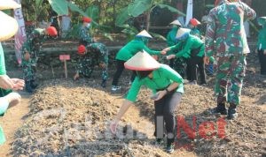 Inovasi Lahan Ketahanan Pangan di Grup 1 Kopassus