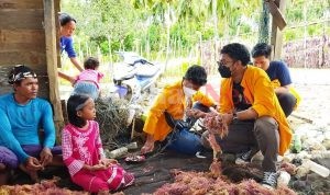 Sosialisasikan Kultur Jaringan Rumput Laut, Mahasiswa KKN Tematik UHO Mendapat Respon Baik Dari Masyarakat