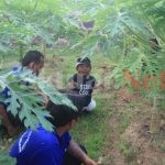 Ucok Baba Kunjungi Lapas Cilegon, Hibur Para Napi