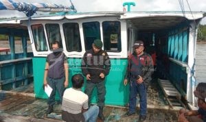 KLHK Tetapkan Pengusaha Kayu Sebagai Tersangka Baru Kasus Pengangkutan Kayu Ilegal