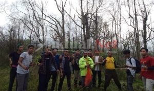 Momen Sumpah Pemuda, Komunitas Pattiro People Bersama Kelompok Pecinta Alam Tanam Pohon di Jalur Bulubaria