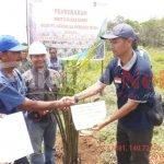 PT.APM Serahkan Bibit Sawit Kepada Petani Swadaya Mandiri di Kampung Enggal Jaya  Merauke