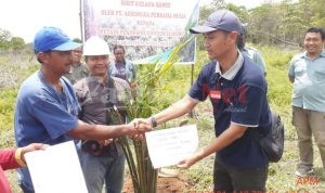 PT.APM Serahkan Bibit Sawit Kepada Petani Swadaya Mandiri di Kampung Enggal Jaya  Merauke