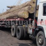 Kayu yang Dibeli LKM-Masjid Rahmatan LKM Lil Alamin Merapat di Pelabuhan Cirebon Menuju Gudang di Eretan Kulon