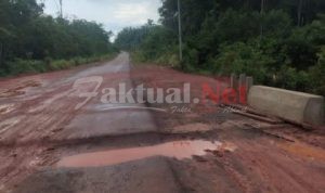 LSM Bakkin Kabupaten Merauke Berharap Tim Audit Turun Melihat Hasil Pekerjaan Box Jembatan T.A 2021.