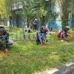 ECC PLN UPDK Kendari, Tanam 150 Pohon Pelindung di Hari Lingkungan Hidup Internasional