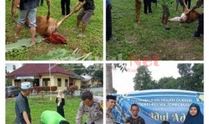 Kapolsek Tompobulu Laksanakan Pemotongan Hewan Qurban