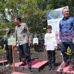 Sejumlah Menteri Lakukan Penanaman Magrove Usai Ikuti Acara Puncak Sail Tidore 2022