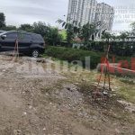 Pohon Harus Berbagi Tempat Dengan Kendaraan Perusahaan
