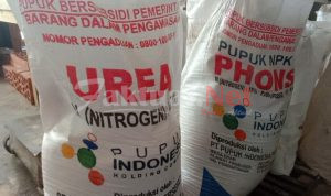 Harga Pupuk Sangat Mahal di Kecematan Bontolempangan Gowa