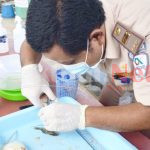 Inovasi Kolaboratif, SKIPM Palu Bergerak Cegah Penyebaran Penyakit Ikan Karantina