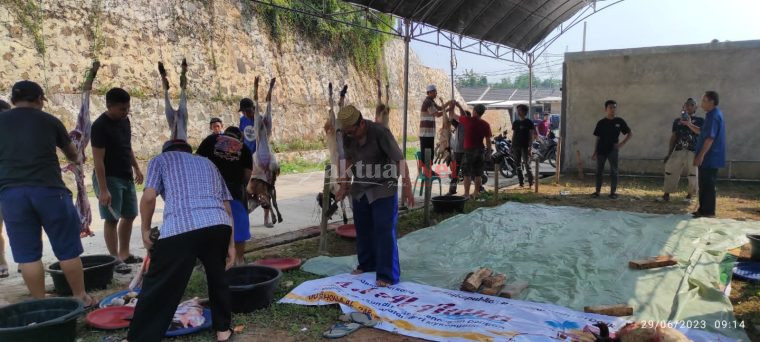 DKM Musholah Al-Barokah BBI Menyembelih Hewan Kurban Yang Kedua