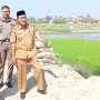 Camat Ciruas Monitoring Kegiatan P3A-TGAI di Desa Kepandean