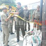 SATPOL PP JAKARTA UTARA SEGEL TIANG JARINGAN INTERNET MILIK PT.IFORTE