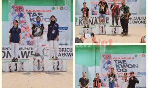 Taekwondo Lakidende Cup Tahun 2023, ETC Kendari Raih 3 Medali Emas