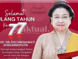 Megawati Ibu Demokrasi dan Negarawan