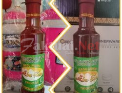 Madu Murni Trigona Abu Ken, Kaya Akan Propolis