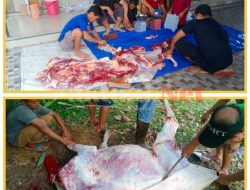 Masjid Ihyaus Sunnah Puuwatu Turut Berbagi Daging Kurban ke Warga Non Muslim